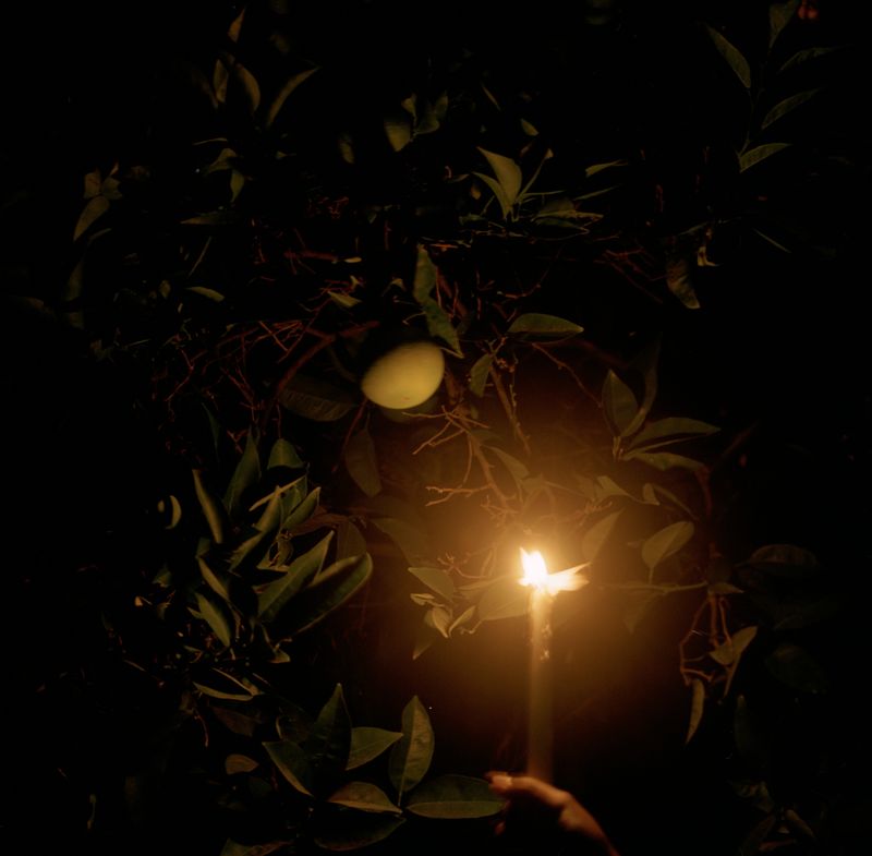 © Lynse Cooper - The Last Goodbye, 2024