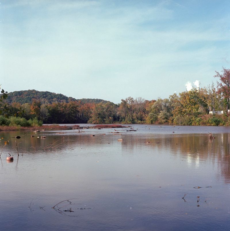 © Kate Fowler - Image from the Nitro photography project