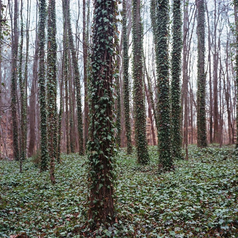 © Kate Fowler - Image from the Nitro photography project