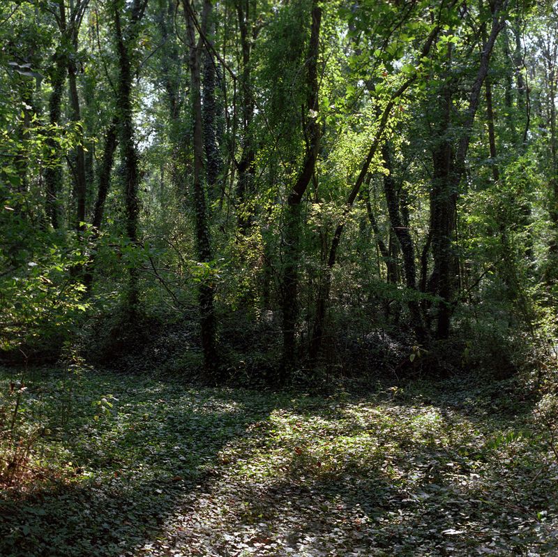 © Kate Fowler - Image from the Nitro photography project