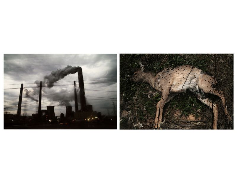 © Kate Fowler - Image from the Nitro photography project