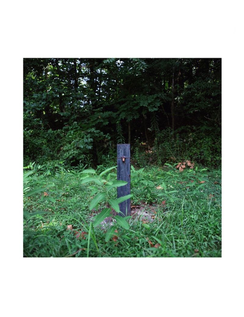 © Kate Fowler - Image from the Nitro photography project