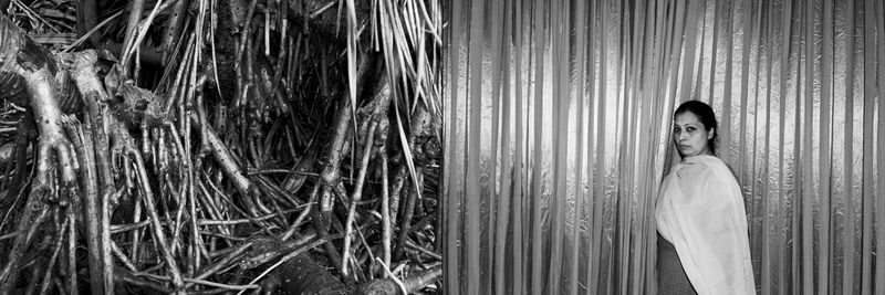 © Mahtab Nafis - Mom- diptych 2. 2015.