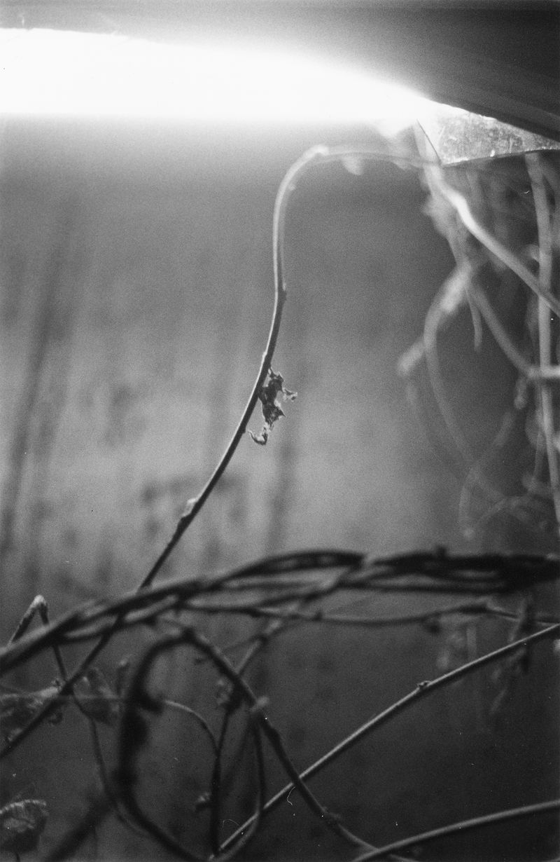 © Martin Hassid - Image from the Permanent photography project