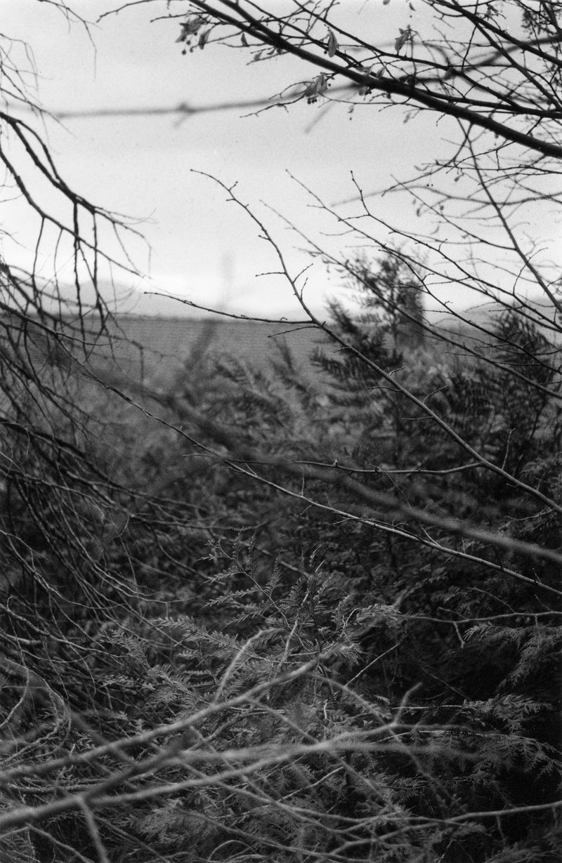 © Martin Hassid - Image from the Permanent photography project