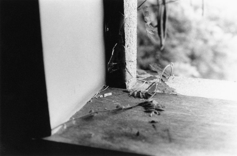 © Martin Hassid - Image from the Permanent photography project