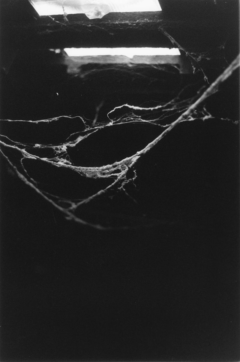 © Martin Hassid - Image from the Permanent photography project