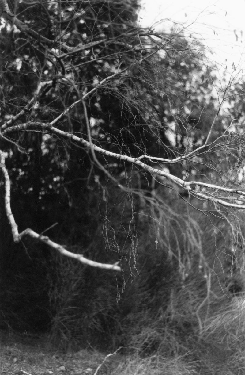 © Martin Hassid - Image from the Permanent photography project