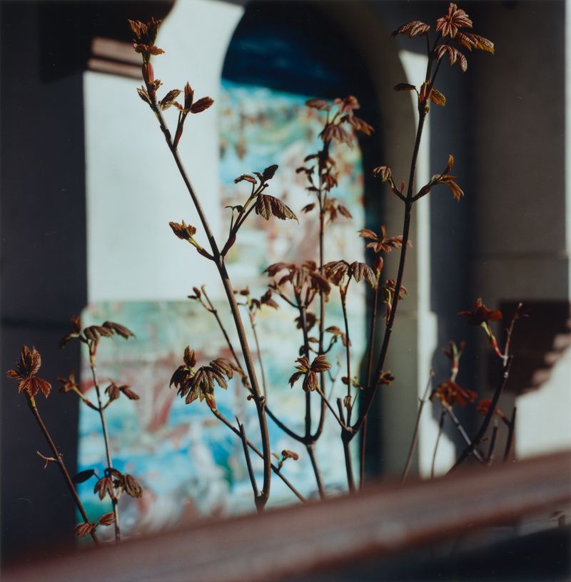 © Martin Hassid - Image from the Our land is everything to us photography project