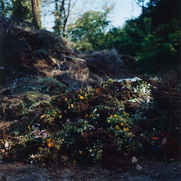 © Martin Hassid - Image from the Our land is everything to us photography project