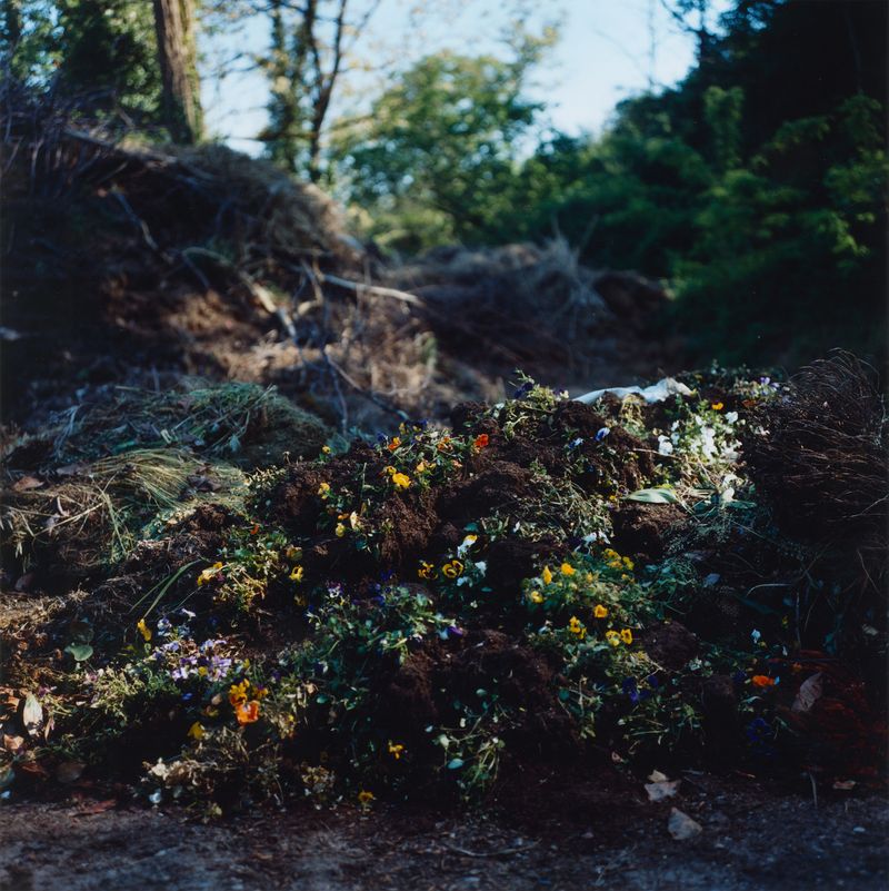 © Martin Hassid - Image from the Our land is everything to us photography project