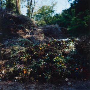 Our land is everything to us