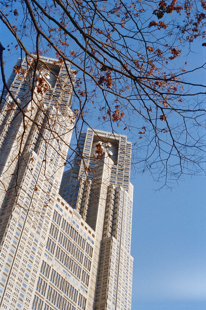 © Martin Hassid - Image from the Meiji, c'est fini photography project