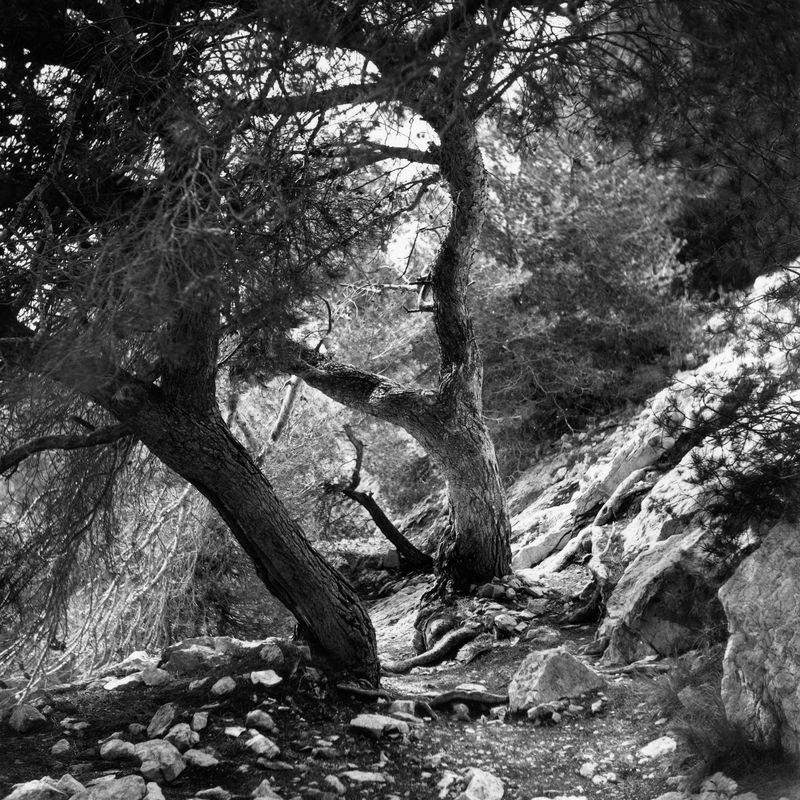 © Martin Hassid - Image from the Seriez-vous des sages revenus d'une vie antérieure? photography project