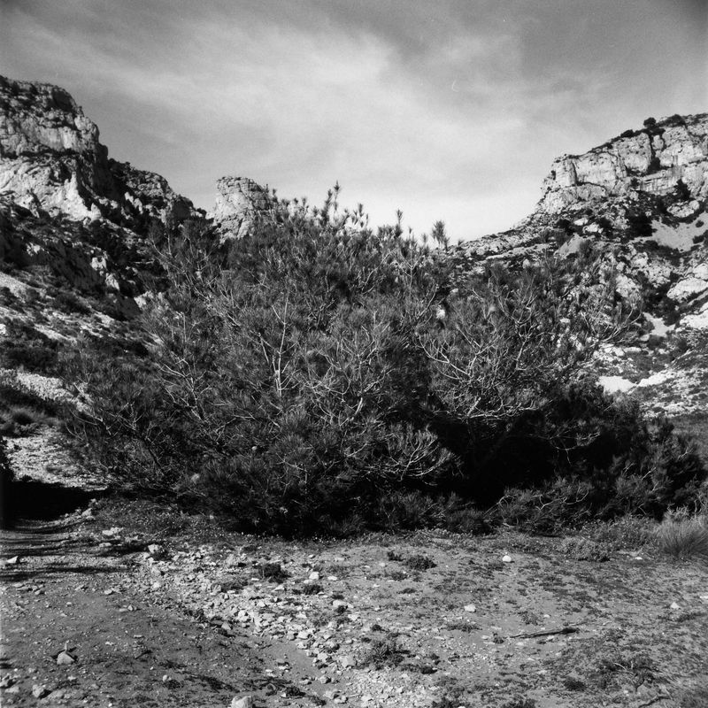 © Martin Hassid - Image from the Seriez-vous des sages revenus d'une vie antérieure? photography project