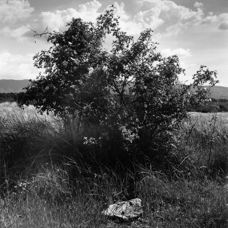 © Martin Hassid - Image from the Seriez-vous des sages revenus d'une vie antérieure? photography project