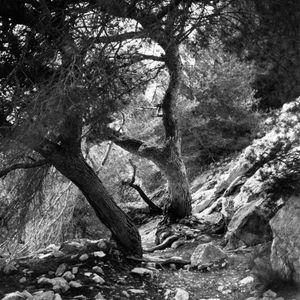 Seriez-vous des sages revenus d'une vie antérieure?