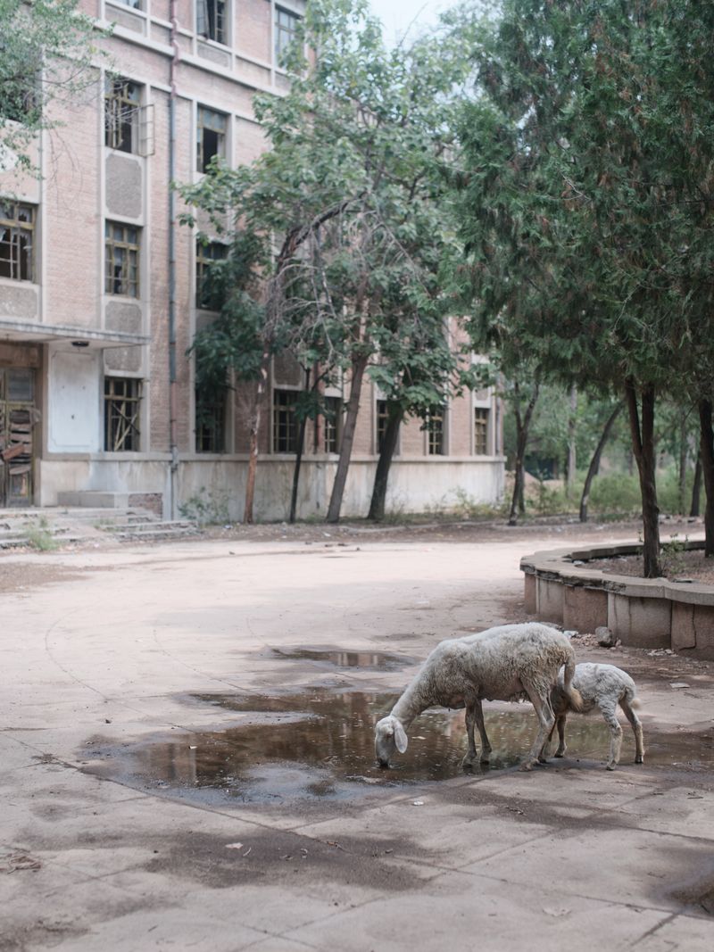 © Zhaoyang Chen - Image from the Echoes of the Past photography project