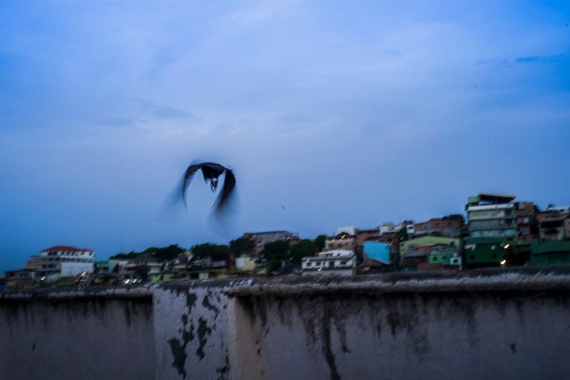 © Raphael Alves - Image from the Humid(c)ity photography project