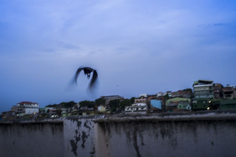 © Raphael Alves - Image from the Humid(c)ity photography project