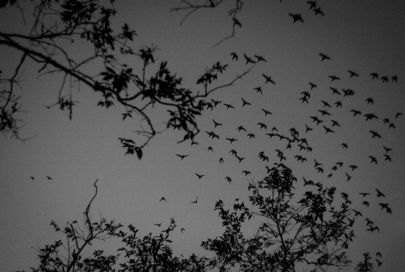 © Raphael Alves - Image from the Riversick photography project