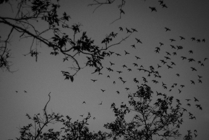 © Raphael Alves - Image from the Riversick photography project