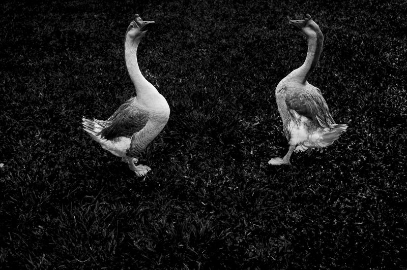 © Raphael Alves - Image from the Riversick photography project