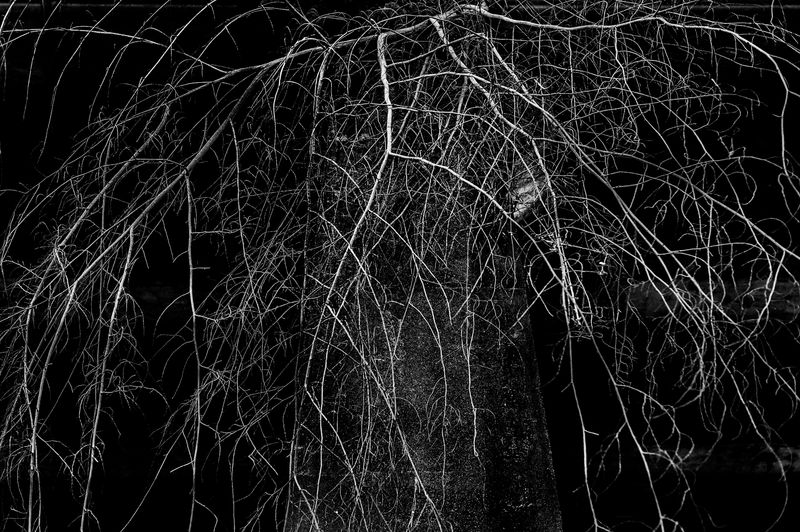 © Raphael Alves - Image from the Riversick photography project