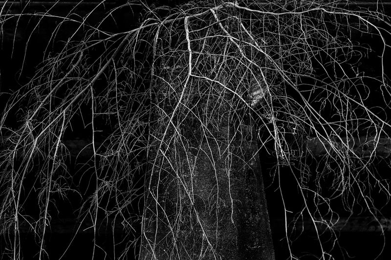 © Raphael Alves - Image from the Riversick photography project