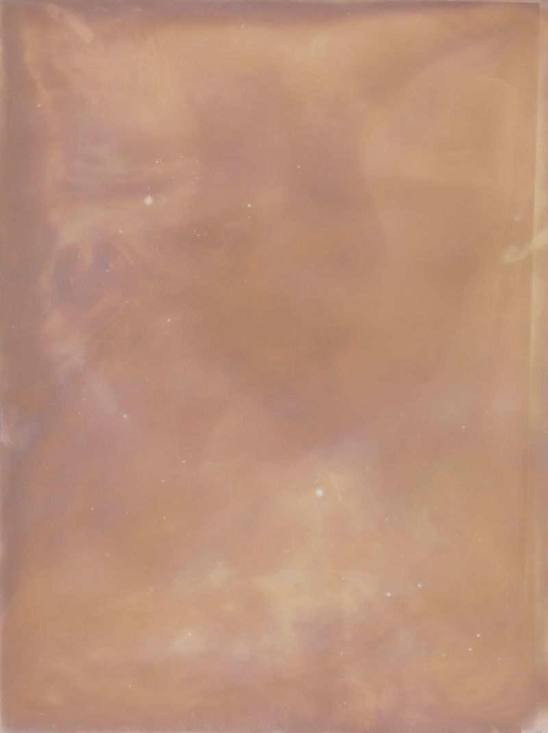 © Alessandra Carosi - Photogram, sea water on photographic paper, 30,5x40,5 cm, unique piece.