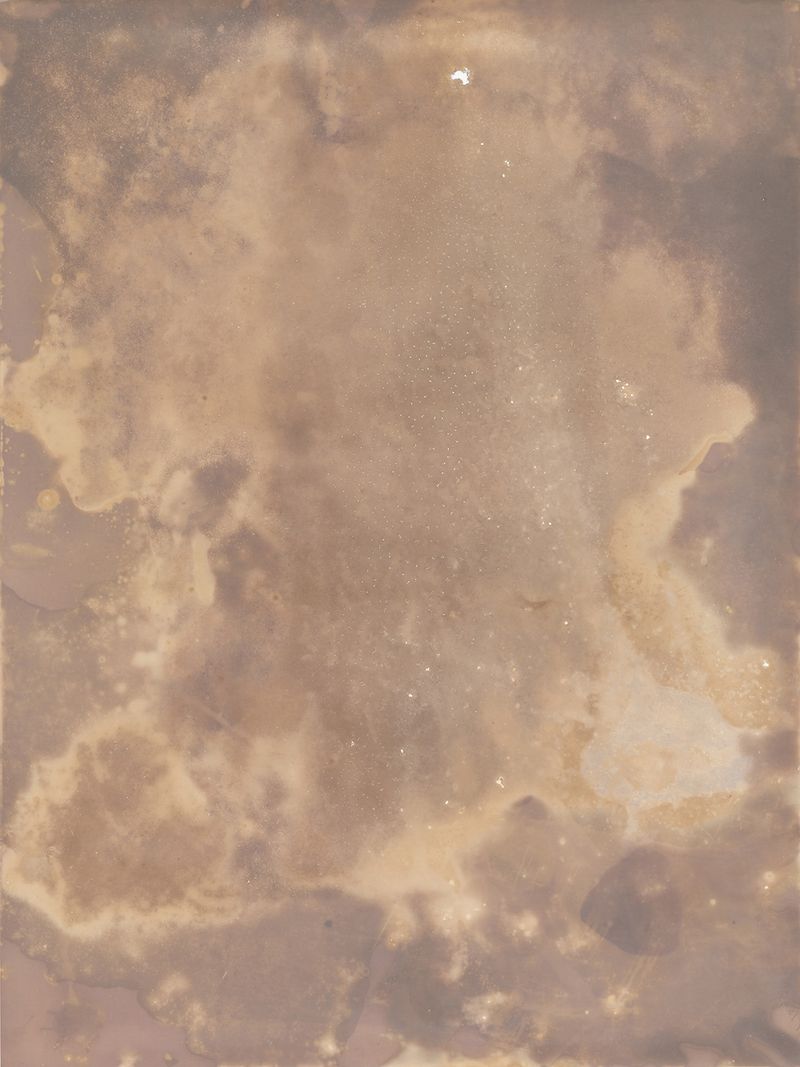 © Alessandra Carosi - Photogram, sea water on photographic paper, 30,5x40,5 cm, unique piece.