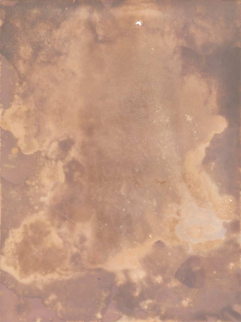 © Alessandra Carosi - Photogram, sea water on photographic paper, 30,5x40,5 cm, unique piece.