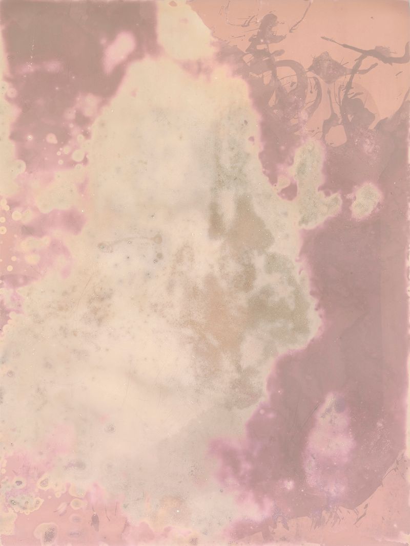 © Alessandra Carosi - Photogram, sea water on photographic paper, 30,5x40,5 cm, unique piece.