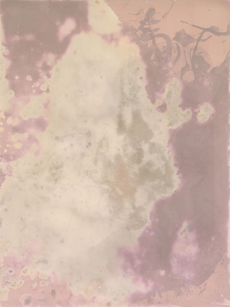 © Alessandra Carosi - Photogram, sea water on photographic paper, 30,5x40,5 cm, unique piece.