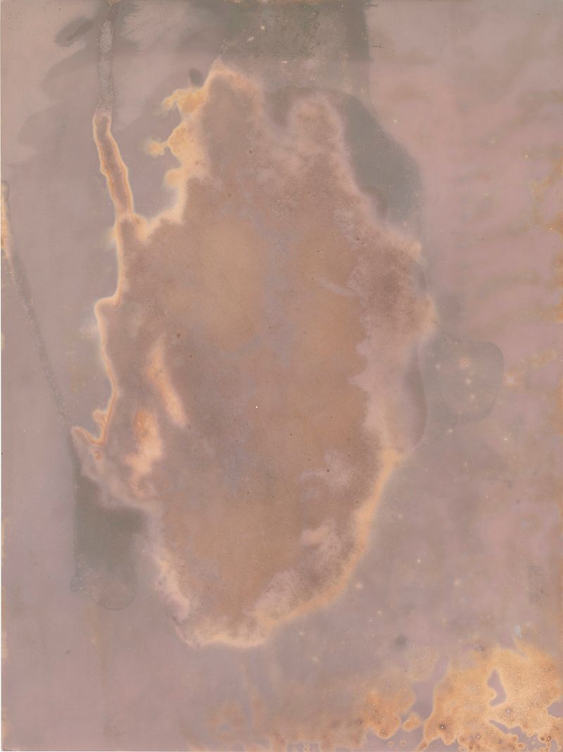 © Alessandra Carosi - Photogram, sea water on photographic paper, 30,5x40,5 cm, unique piece.