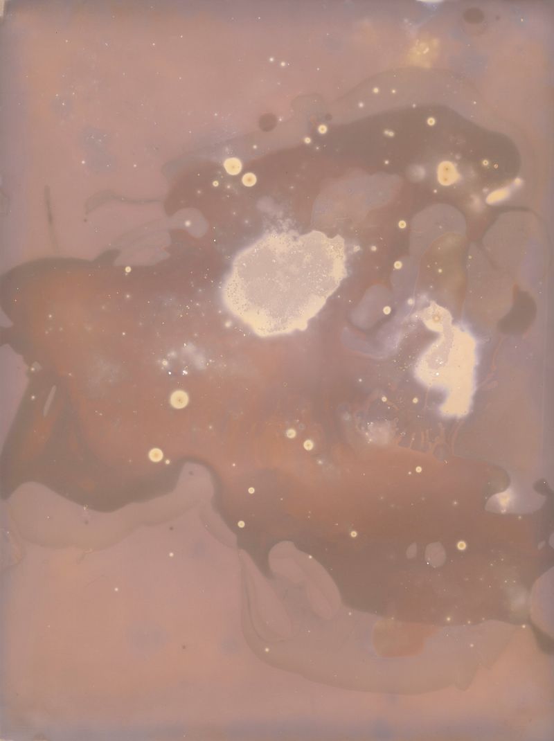 © Alessandra Carosi - Photogram, sea water on photographic paper, 30,5x40,5 cm, unique piece.