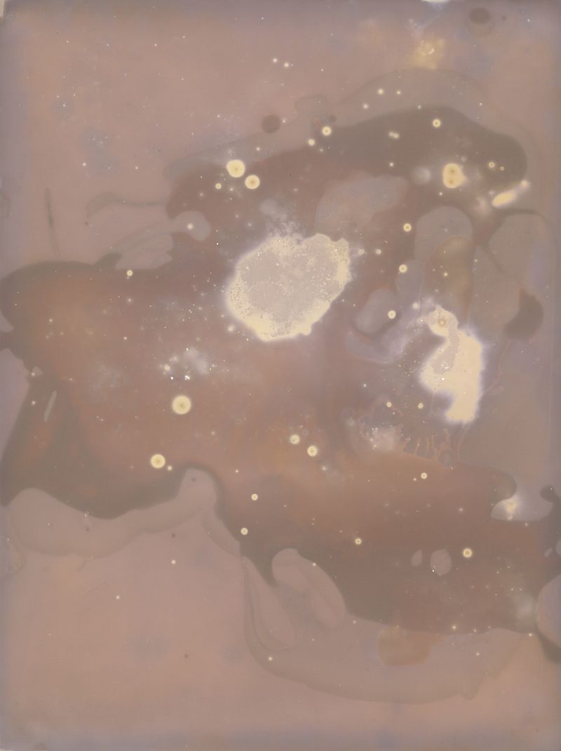 © Alessandra Carosi - Photogram, sea water on photographic paper, 30,5x40,5 cm, unique piece.