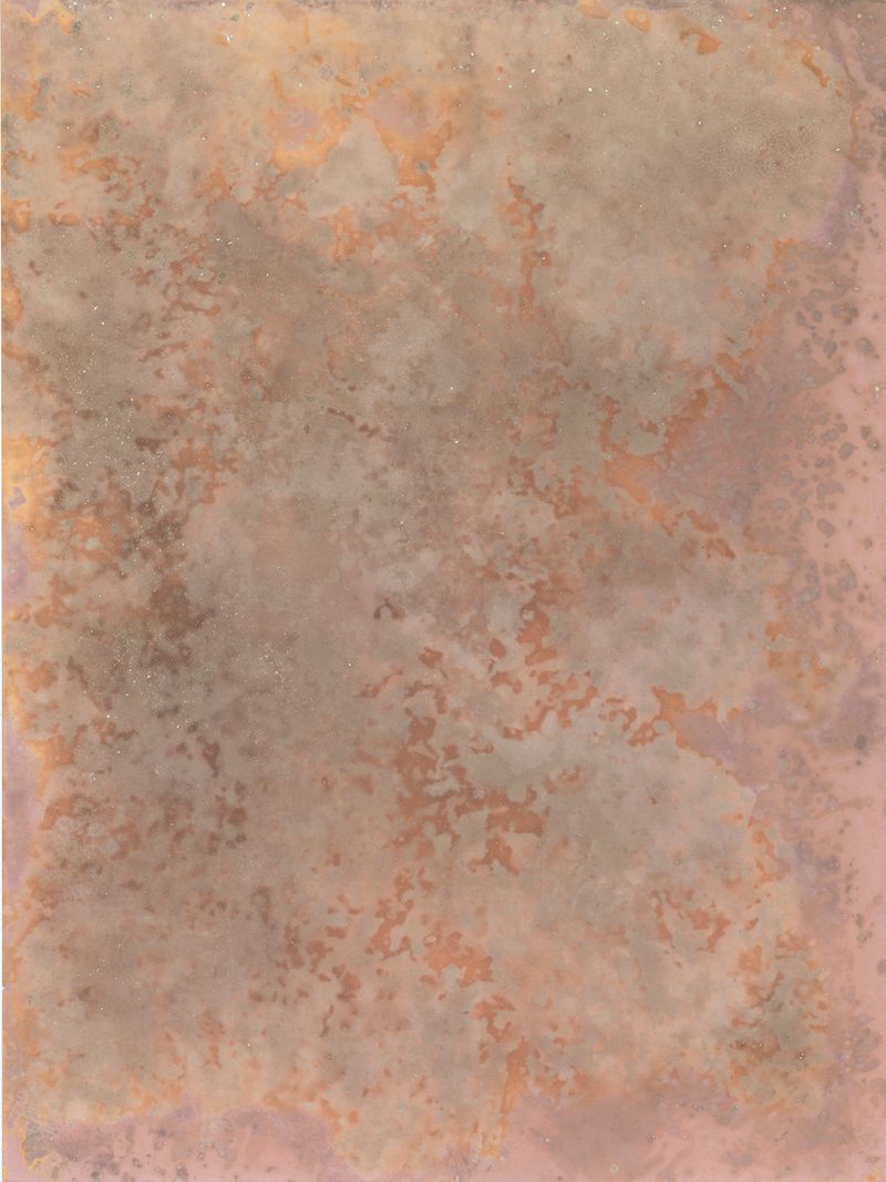 © Alessandra Carosi - Photogram, sea water on photographic paper, 30,5x40,5 cm, unique piece.