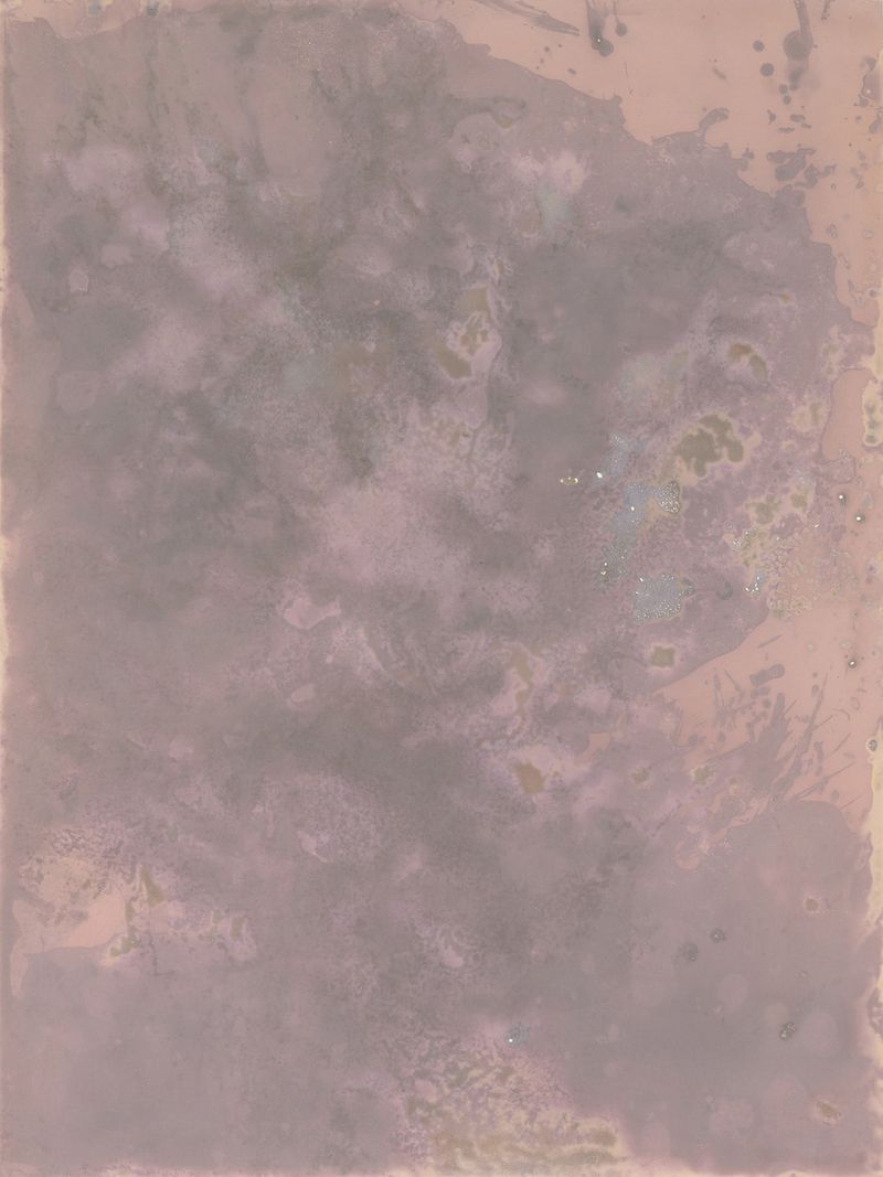 © Alessandra Carosi - Photogram, sea water on photographic paper, 30,5x40,5 cm, unique piece.