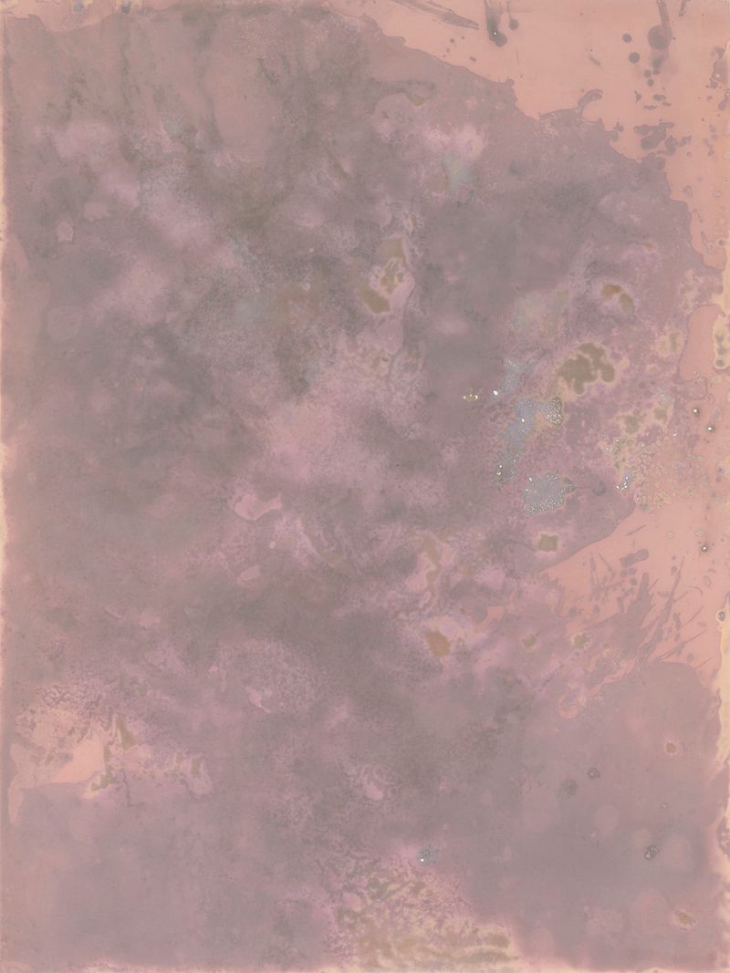 © Alessandra Carosi - Photogram, sea water on photographic paper, 30,5x40,5 cm, unique piece.