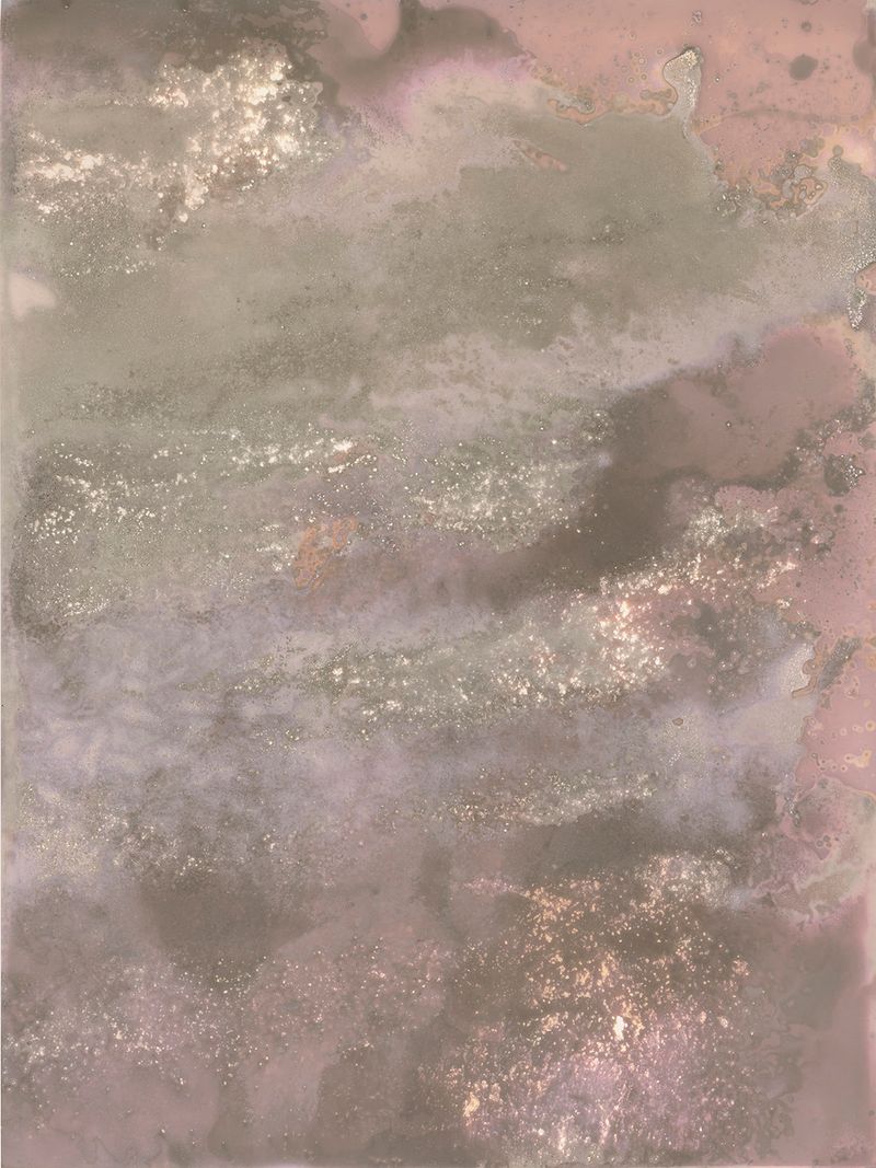 © Alessandra Carosi - Photogram, sea water on photographic paper, 30,5x40,5 cm, unique piece.