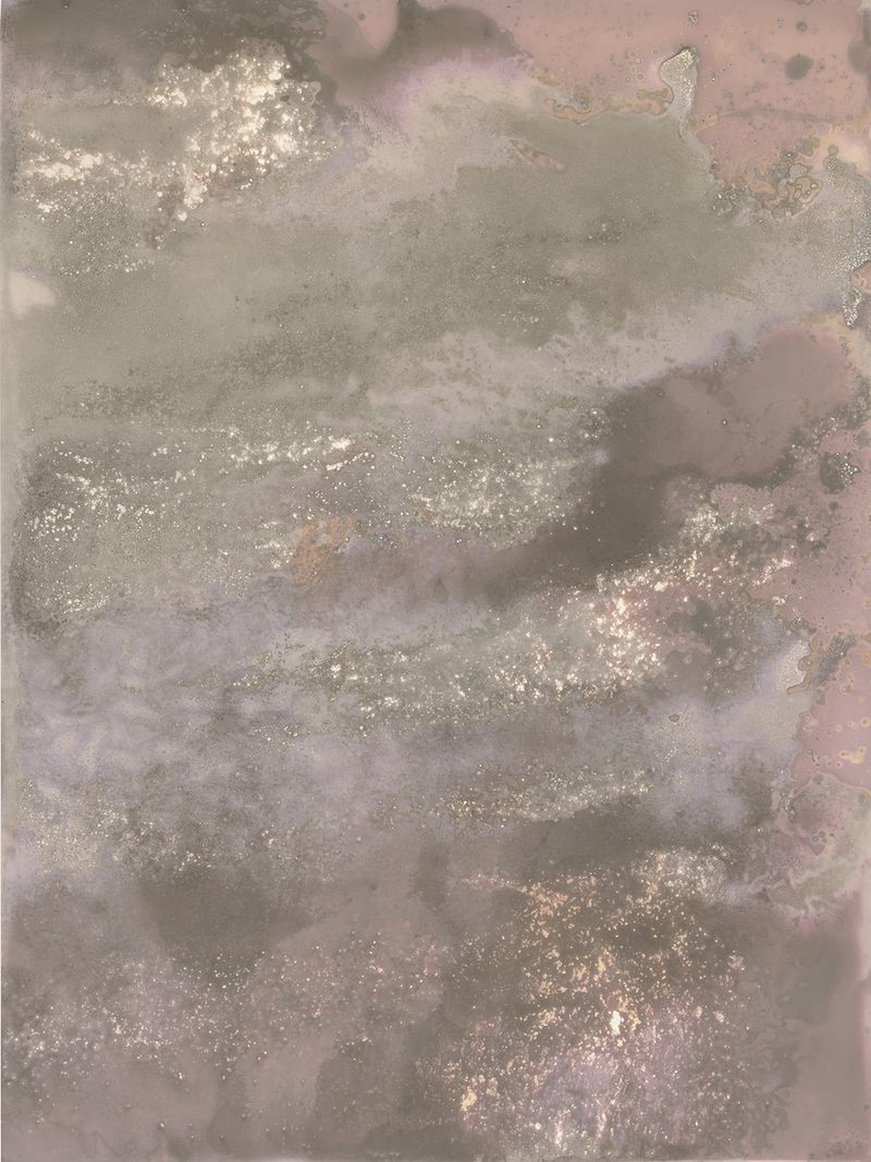 © Alessandra Carosi - Photogram, sea water on photographic paper, 30,5x40,5 cm, unique piece.