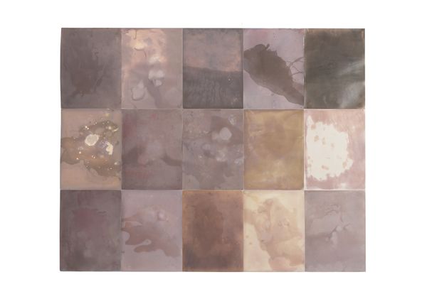 © Alessandra Carosi - Installation view detail. 15 Photograms, photographic papers, 152 x121cm, 30,5x40,5 cm each. Unique pieces
