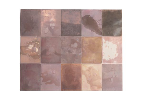 © Alessandra Carosi - Installation view detail. 15 Photograms, photographic papers, 152 x121cm, 30,5x40,5 cm each. Unique pieces