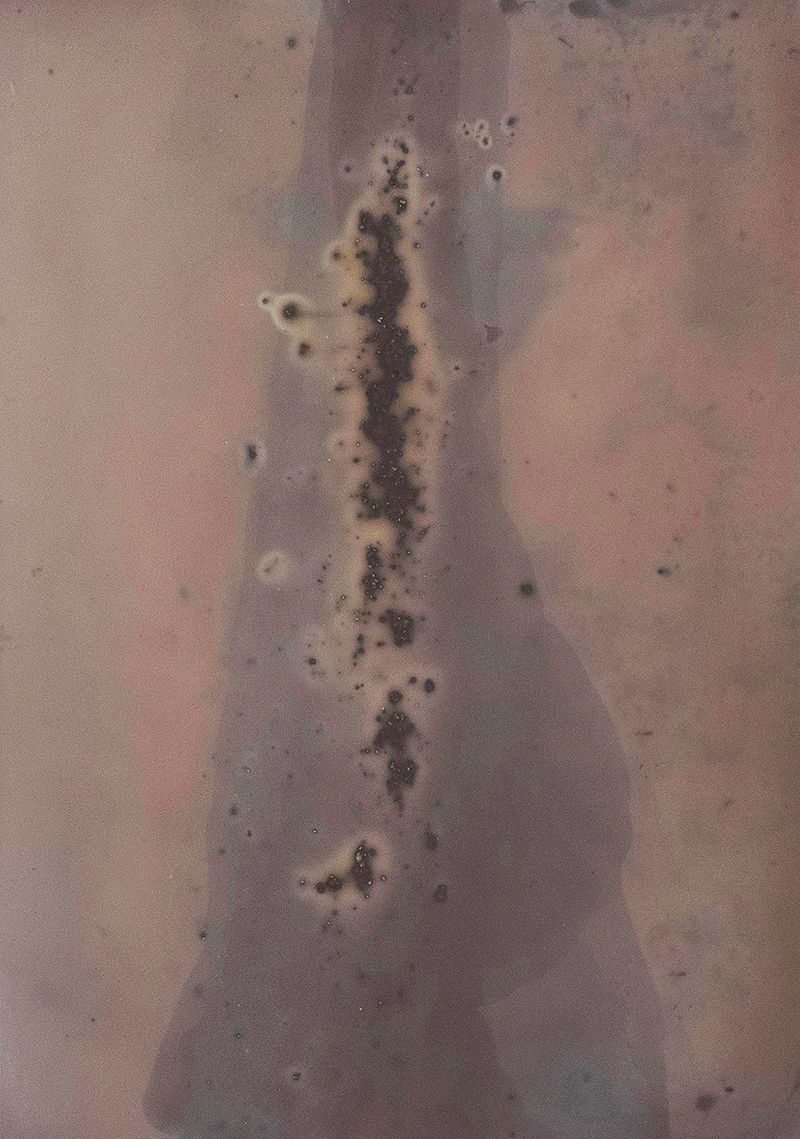 © Alessandra Carosi - Photogram, sea water on photographic paper, 18x24 cm, unique piece.