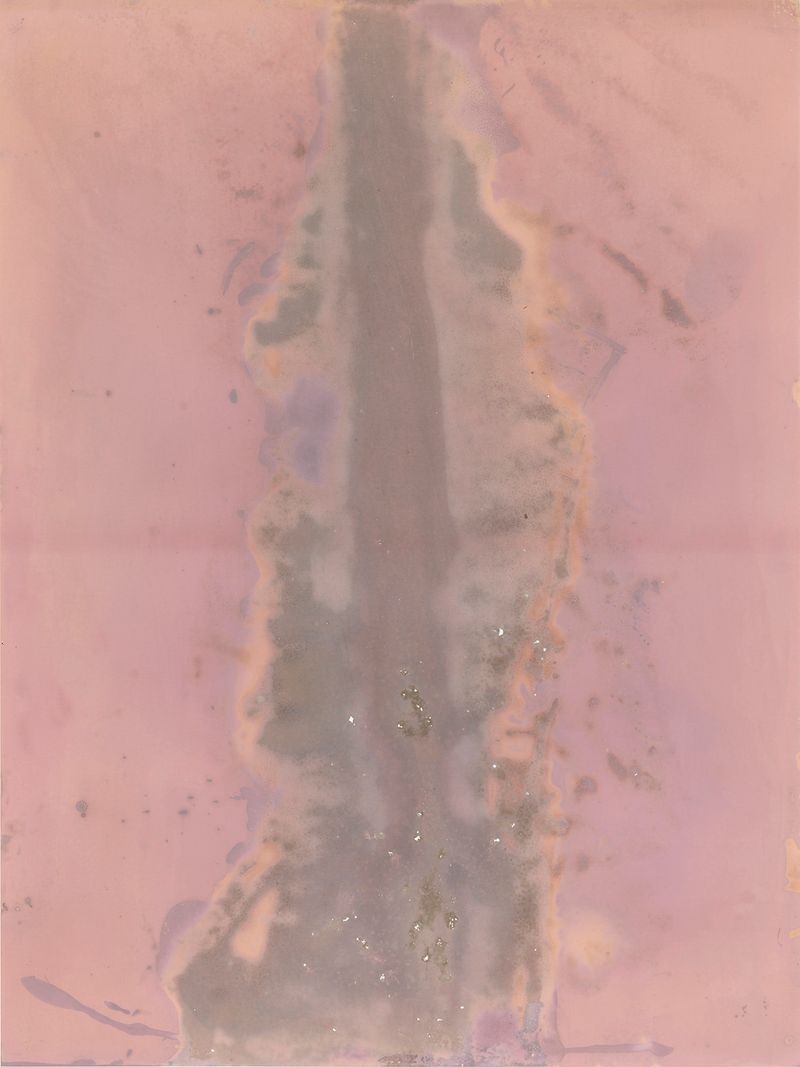 © Alessandra Carosi - Photogram, sea water on photographic paper, 30,5x40,5 cm, unique piece.