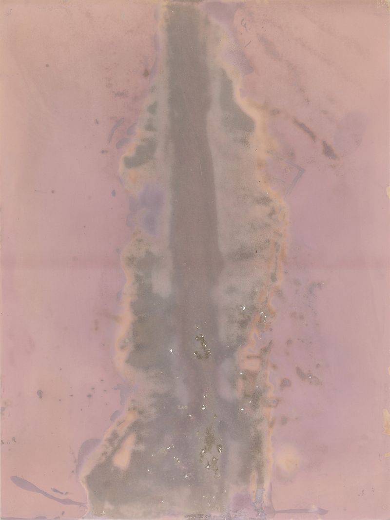 © Alessandra Carosi - Photogram, sea water on photographic paper, 30,5x40,5 cm, unique piece.