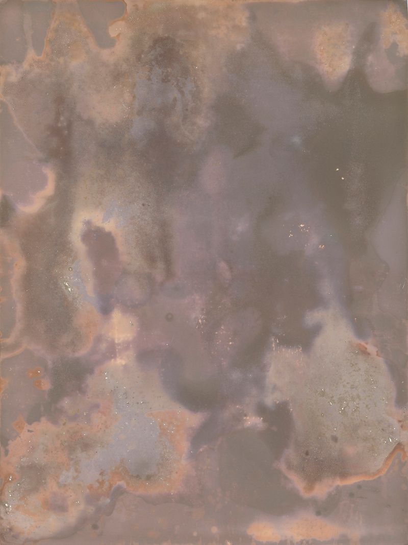 © Alessandra Carosi - Photogram, sea water on photographic paper, 30,5x40,5 cm, unique piece.