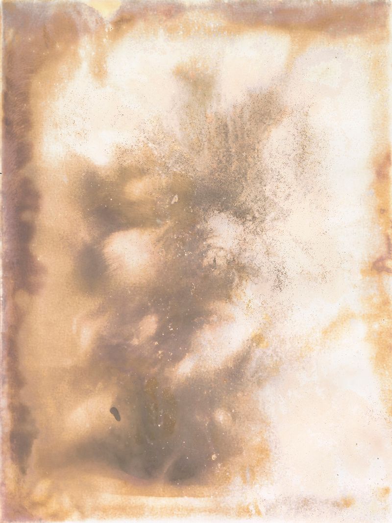 © Alessandra Carosi - Photogram, sea water on photographic paper, 30,5x40,5 cm, unique piece.