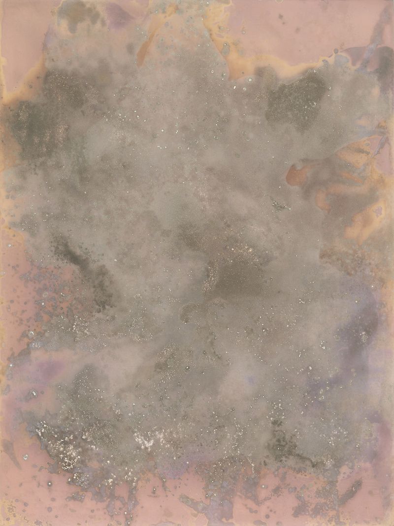© Alessandra Carosi - Photogram, sea water on photographic paper, 30,5x40,5 cm, unique piece.